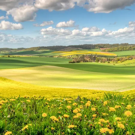 Centre Ville, Appartement 3 Chambres, Lumineux * Dieppe